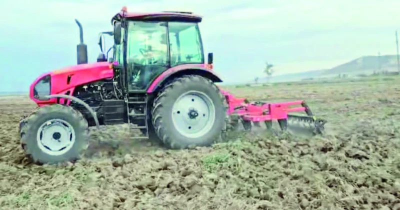 Oğuzun bol taxılı