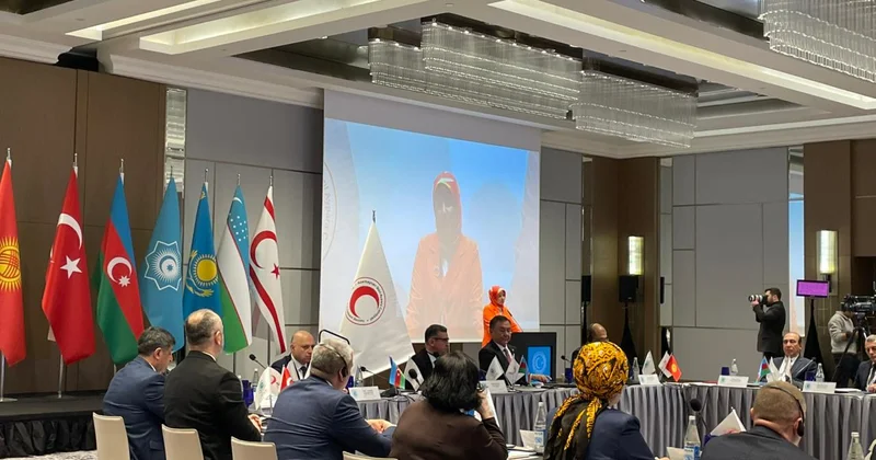 Azərbaycanın Qızıl Aypara Şəbəkəsinə sədrliyi təklif edildi