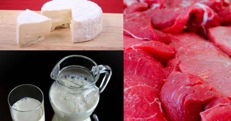 Ət və süd məhsulları ucuzlaşa bilər... VACİB AÇIQLAMA