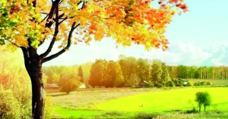 Yağmursuz bir payız çərşənbəsi...