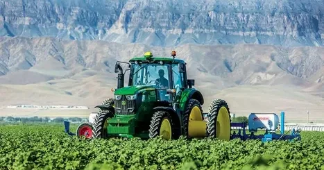 Kənd təsərrüfatı büdcəsinin 42 % i ərzaq təhlükəsizliyinə yönələcək