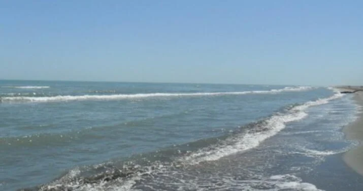 Xəzər dənizində suyun azalmasının əsas səbəbi Volqa çayıdır EKSPERT