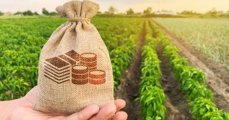 Subsidiyalarla bağlı aydın və anlaşılan qaydalar YOXDUR