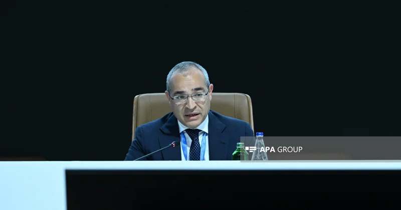 Mikayıl Cabbarov: İqtisadi artıma və biznesə vergi güzəştləri davam etdirilir