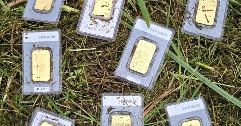 Мужчина, косивший траву, нашел в ней клад