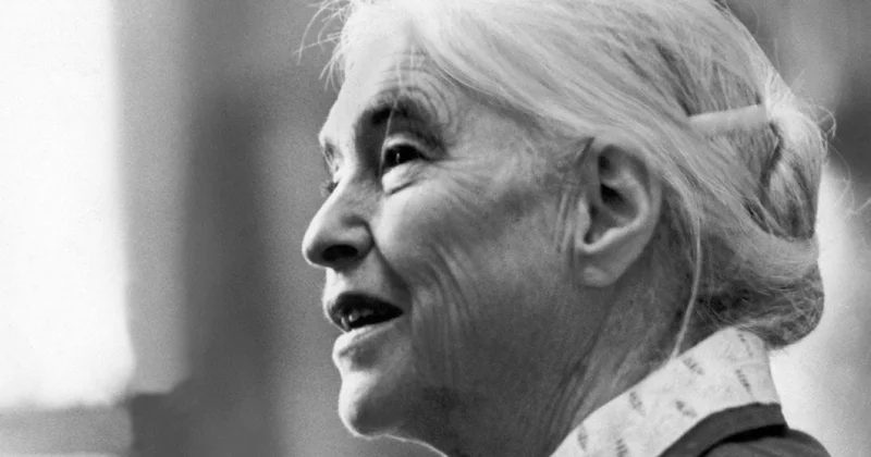 Sevdiyi rəssamın adını təxəllüs götürən alman kommunist yazıçı O, Hitlerə necə yanaşırdı?