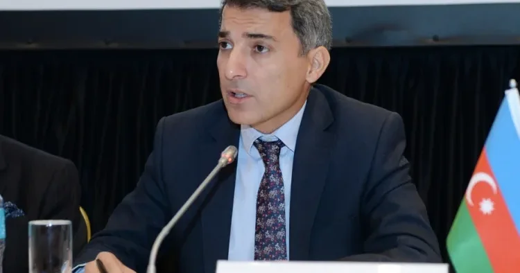 Sel körpünü dağıdıb Fariz İsmayılzadə hökumətə çağırış etdi