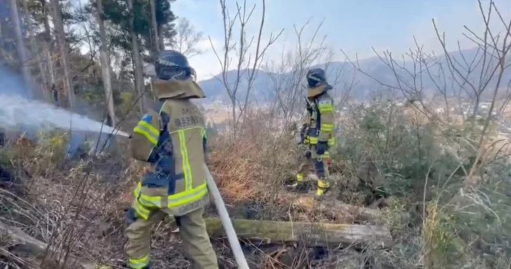 На острове Кюсю в Японии произошел масштабный пожар