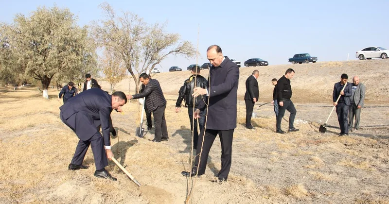 Naxçıvanda ədliyyə işçiləri ağacəkmə aksiyası keçirib