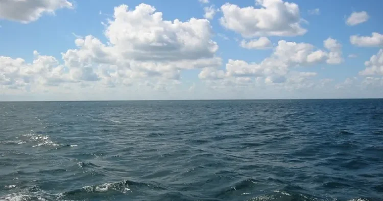 Xəzərin suyunun duzsuzlaşdırılması layihəsi su təhlükəsizliyi baxımından mühüm addımdır