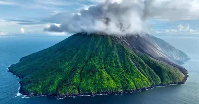 National Geographic представил лучшие кадры 2025 года ФОТО