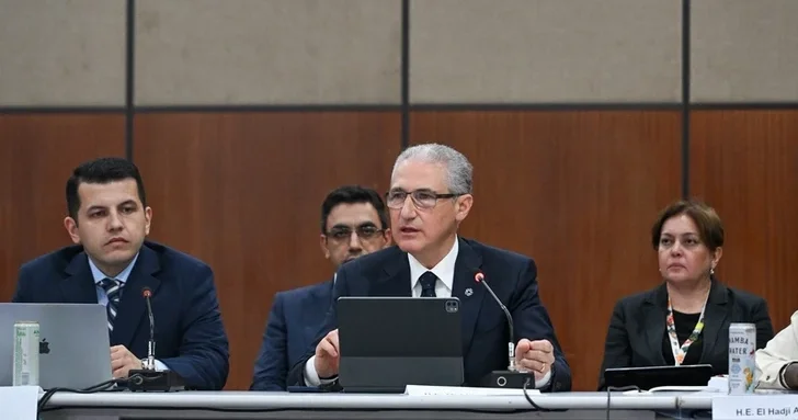 Мухтар Бабаев рассказал на COP30 о таянии ледников в Азербайджане