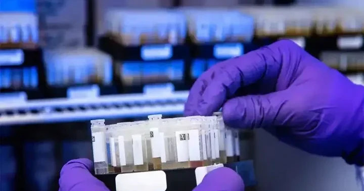 В штате Вашингтон подтвержден редкий случай заражения вирусом H5N5