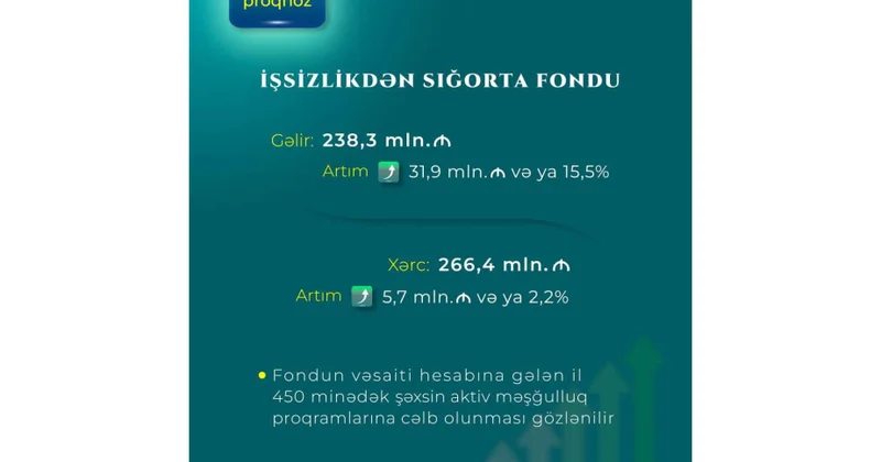 Gələn il 450 minə yaxın şəxs aktiv məşğulluq tədbirlərinə cəlb olunacaq