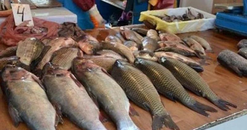 Yerli balıq məhsullarının ƏDV dən azad olması müzakirə edilib