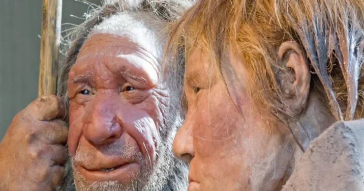 Neandertallar yox olmayıb genetik kodumuzun bir hissəsi olaraq qalır