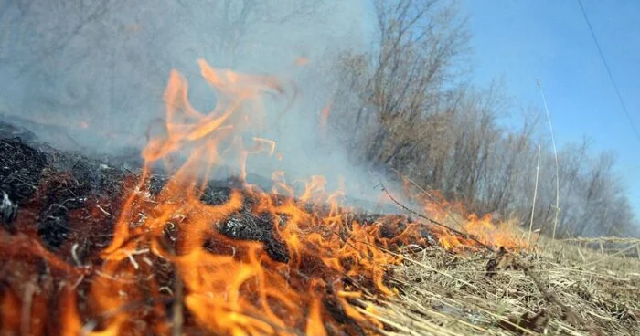 Yaponiyada güclü yanğın 170 dən çox evi külə döndərdi