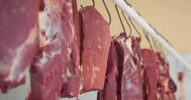 Azərbaycanda Somalidən gətirilən ətlər satılır? RƏSMİ CAVAB