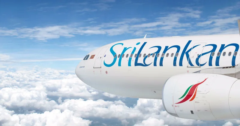 Туристы из Шри Ланки смогут наконец вернуться домой Minval Politika