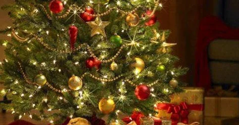 Чем опасны новогодние елки для здоровья? ПРЕДУПРЕЖДЕНИЕ