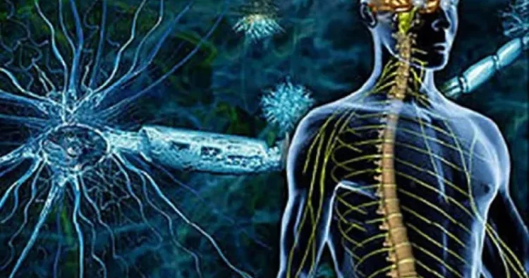 Dağınıq skleroz xəstələrinin daha effektiv müalicəsi üçün yeni nəsil preparatlara ehtiyac yaranır