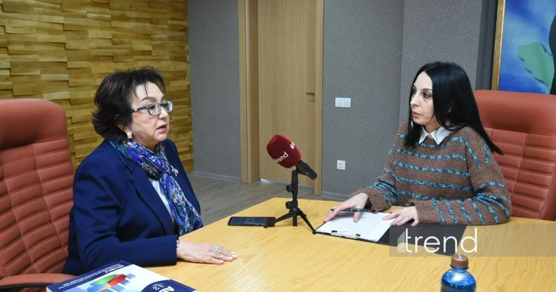 Özünü təhsil eksperti adlandıranların çoxu təhsil sahəsində ödənişli xidmət göstərən biznesmenlərdir Məleykə Abbaszadə