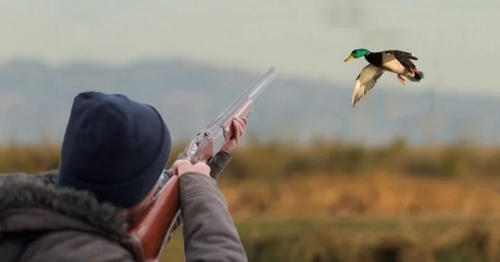 Sabahdan ov mövsümü açılır