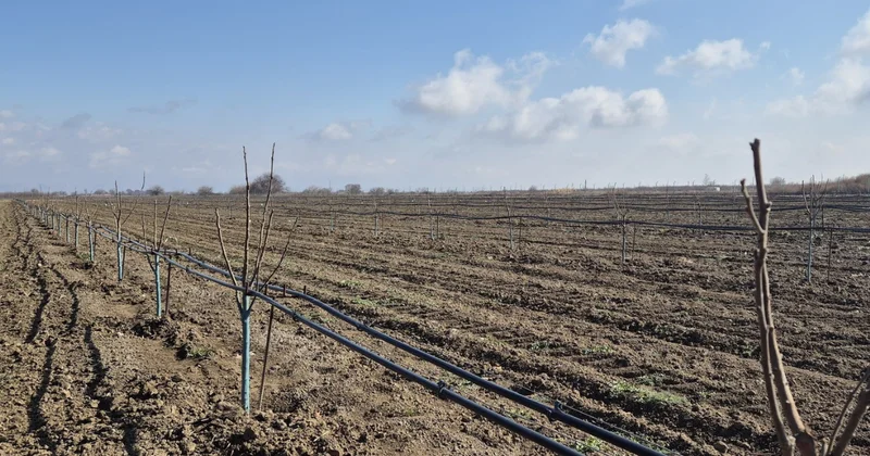 В Азербайджане вносятся изменения в список объектов, строительство которых не требует разрешения
