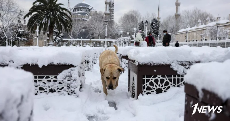 В канун Нового года Стамбул накроет сильный снегопад