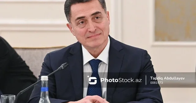 Али Гусейнли: Инициированный ныне проект об амнистии самый масштабный за период независимости