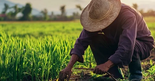 “Məzunların bölgələrdə çalışması üçün yeni proqram hazırlana bilər” Deputatdan TƏKLİF
