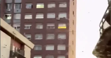 Уругвай заполонили стрекозы ВИДЕО