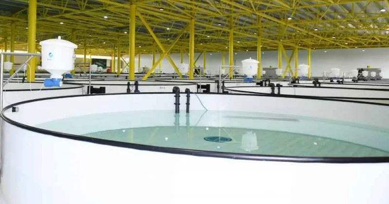 Bu sahəyə subsidiya ayrılacaq