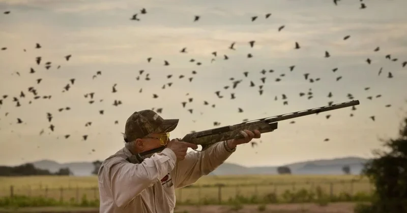 В Азербайджане открывается сезон охоты Minval Politika