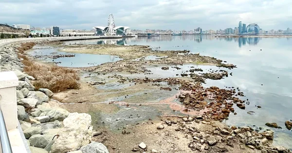 Xəzərin quruması yalnız Volqa məsələsi deyil: Dənizi məhv edən 3 FAKTOR