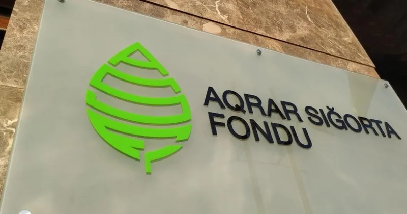 Не ждать беды!