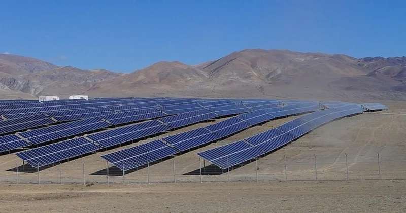 Günəş panelləri səhranı münbit əraziyə çevirib