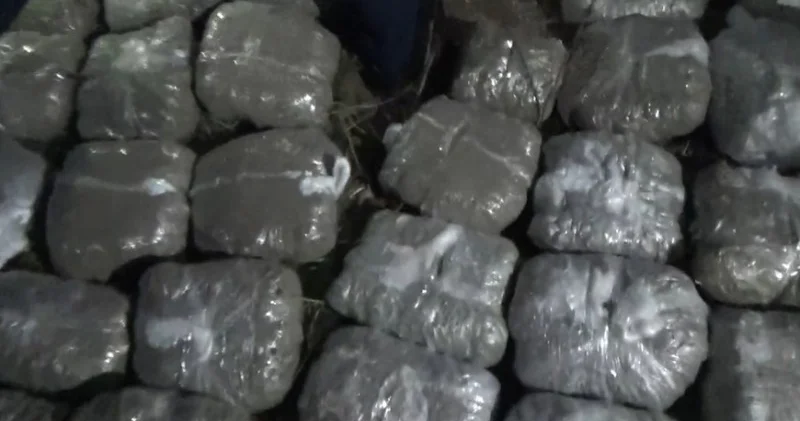 219,5 milyon manatlıq narkotik dövriyyədən çıxarıldı