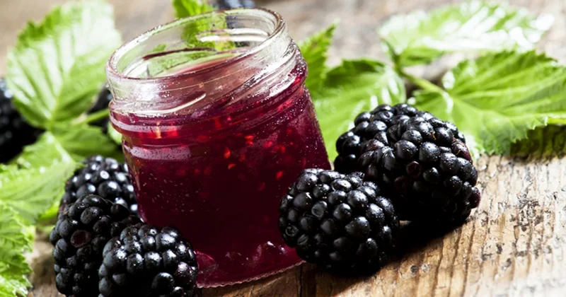 Bu mürəbbələr şəfa qaynağıdır