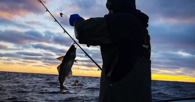 Azərbaycanda Balıqçılıq haqqında yeni qanun qəbul olunacaq