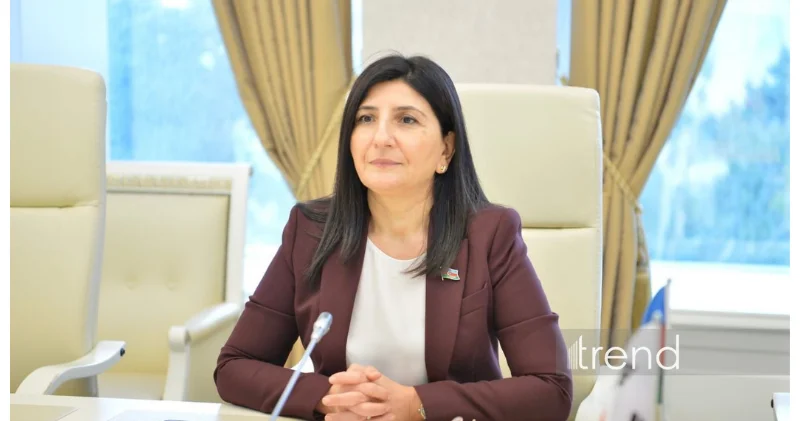 Avropa Parlamentinin qətnaməsi Azərbaycanın daxili işlərinə kobud müdaxilədir Sevil Mikayılova