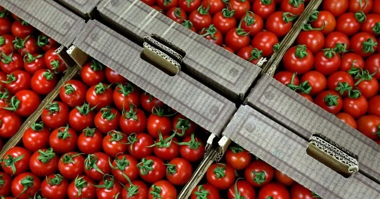 Израиль и Азербайджан расследуют поддельные сертификаты на помидоры Minval Politika