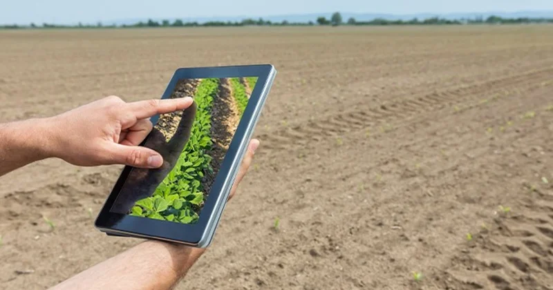 Kənd təsərrüfatı sahəsində tikinti ilə bağlı yeni qayda