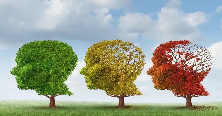 Gənclik anlayışı dəyişir: alimlər 5 beyin yaşını müəyyən ediblər