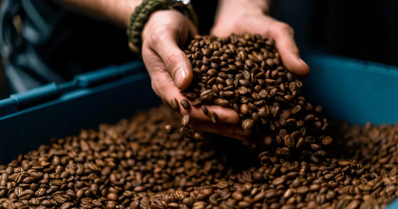 Назван вид кофе, который меньше окрашивает зубы