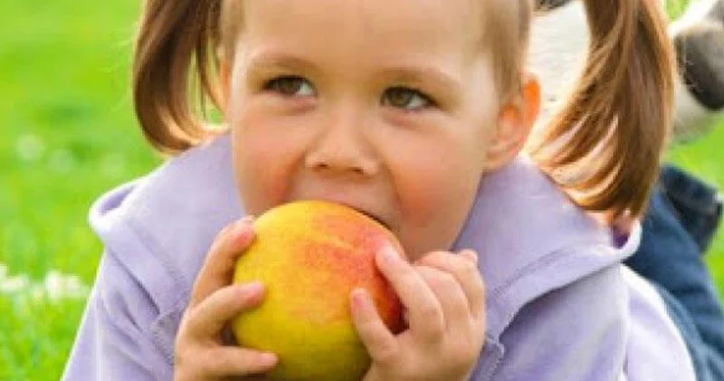 Uşaqlarda vitamin çatışmazlığı niyə yaranır ? PEDİATR DANIŞDI