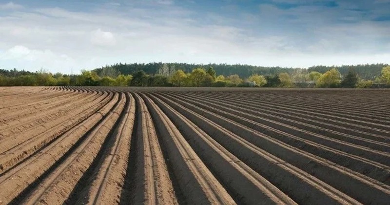 Əkin yerinin yandırılmasına görə yeni cərimələr, inzibati həbs müəyyənləşir