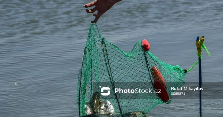 Передовой опыт и экосистемный подход: каким будет новый закон о рыболовстве