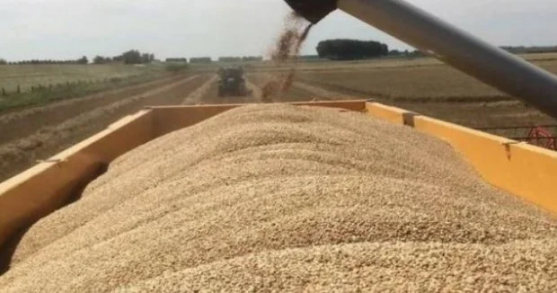 Rusiya Azərbaycanın sayəsində Ermənistana buğda ixracını iki dəfə artırdı