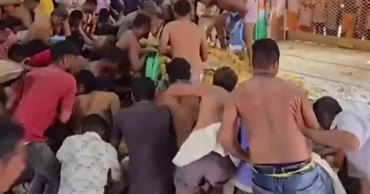 Yemək üçün bir birilərini əzdilər VİDEO